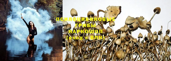ешки Беломорск